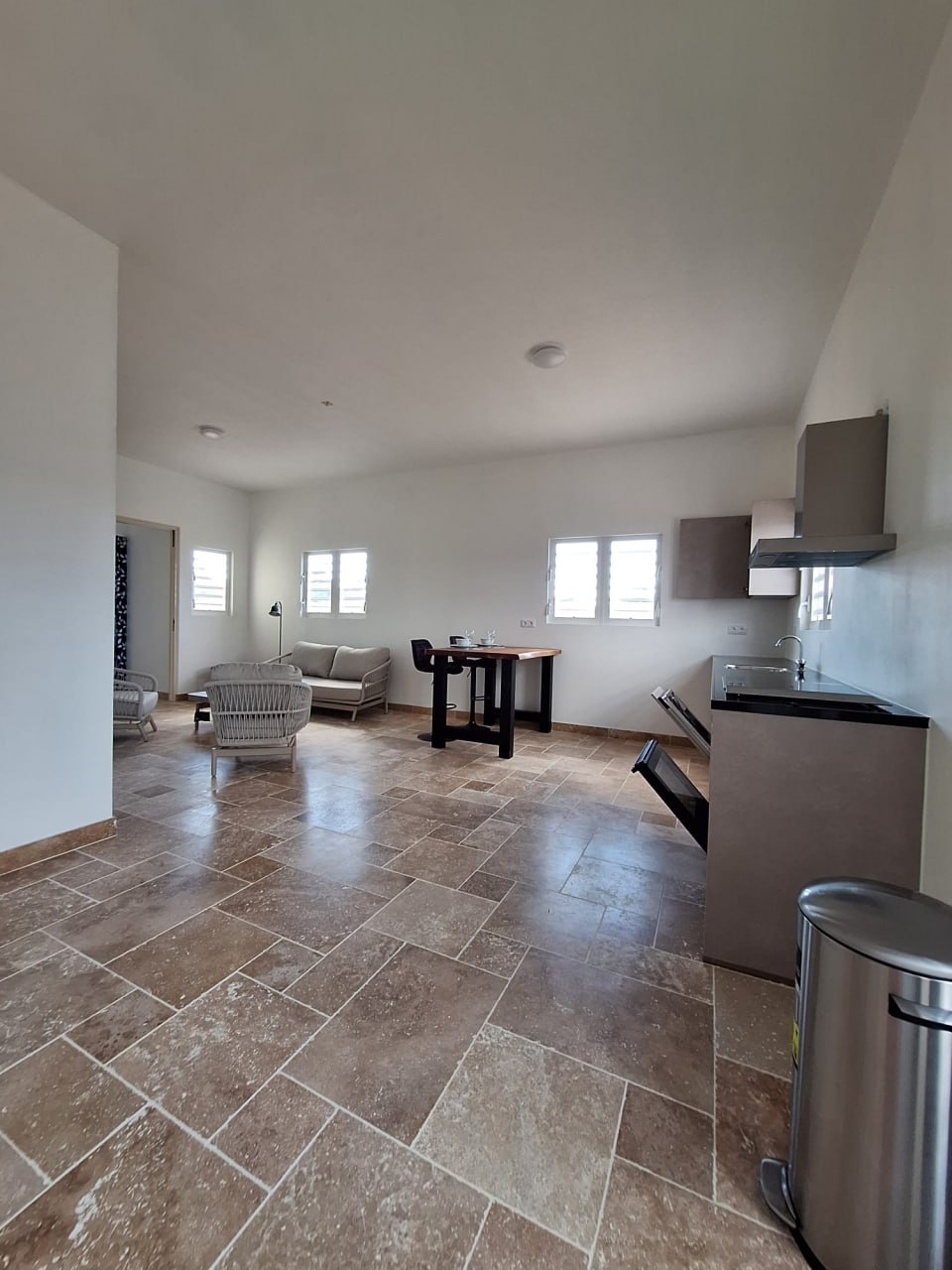 Living room and kitchen